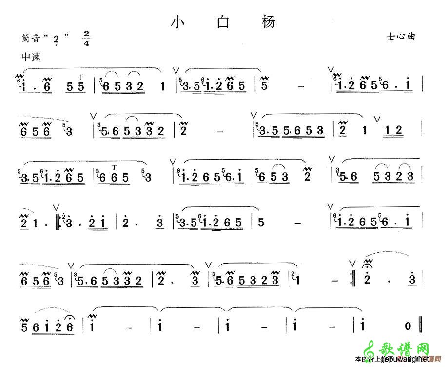 【小白杨笛子谱】