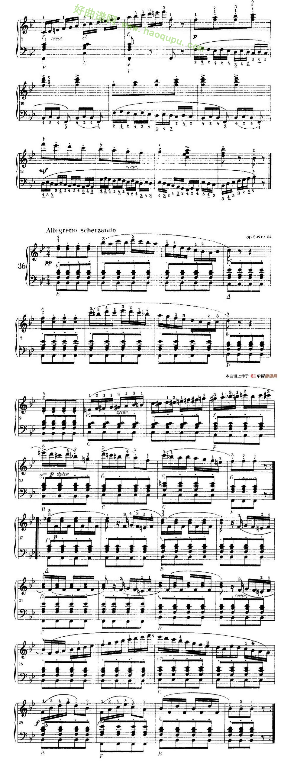 《车尔尼手风琴练习曲集》（22—36）手风琴曲谱