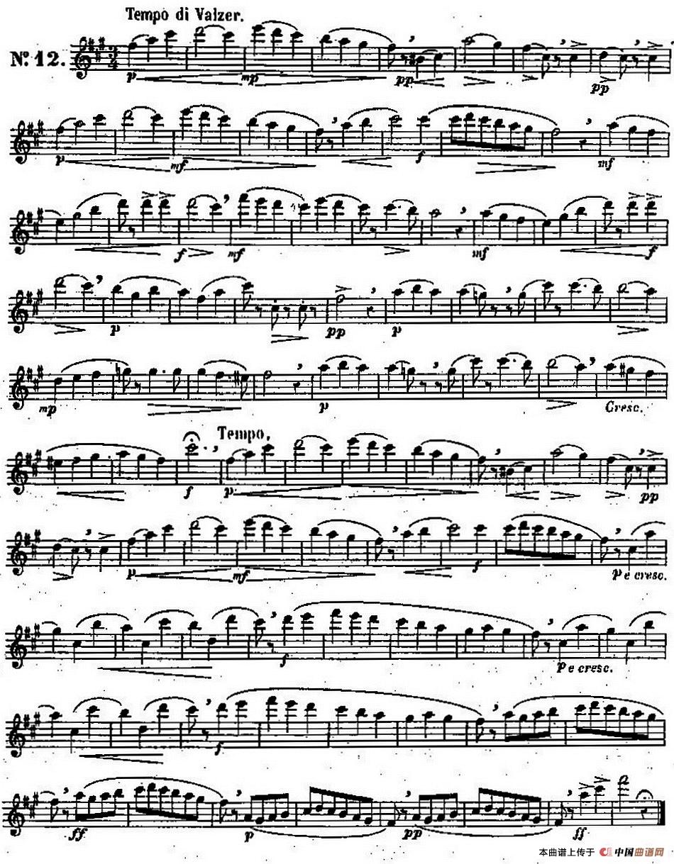 二十首练习曲作品131号（NO.12）长笛谱