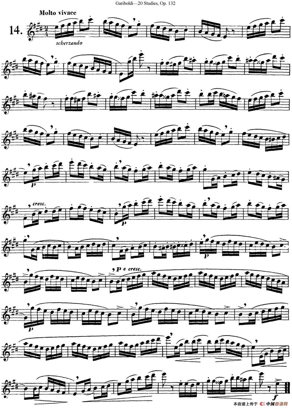 二十首练习曲作品132号之14长笛谱