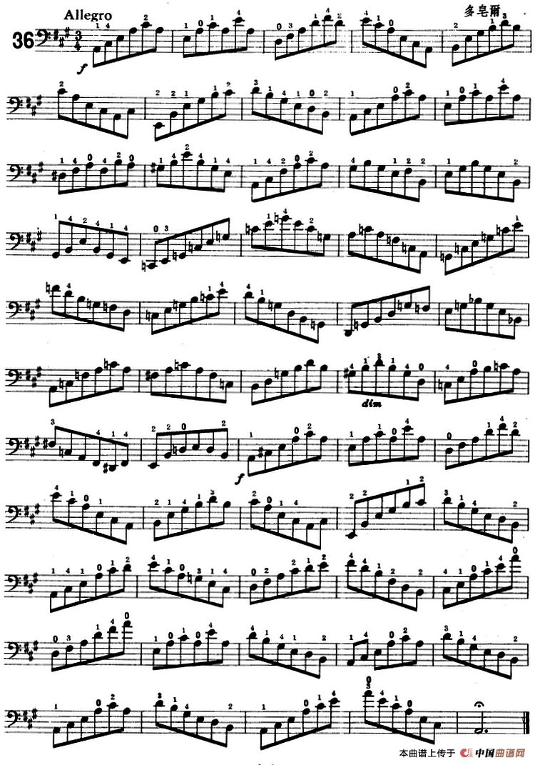 鲍斯特列姆大提琴练习曲（35-36）小提琴谱