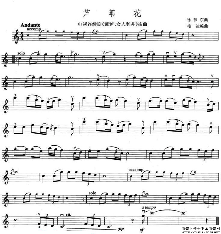 芦苇花（电视剧《辘轳、女人和井》插曲）小提琴谱