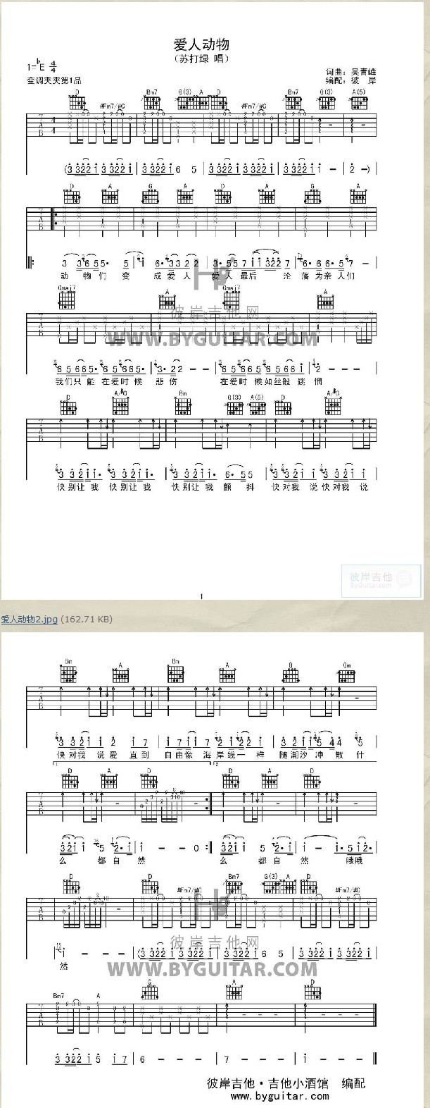 爱人动物吉他谱