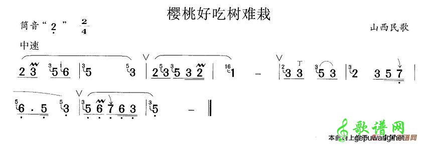 【樱桃好吃树难栽笛子谱】