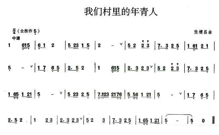 葫芦丝乐谱曲谱 我们村里的年轻人（张棣昌曲）