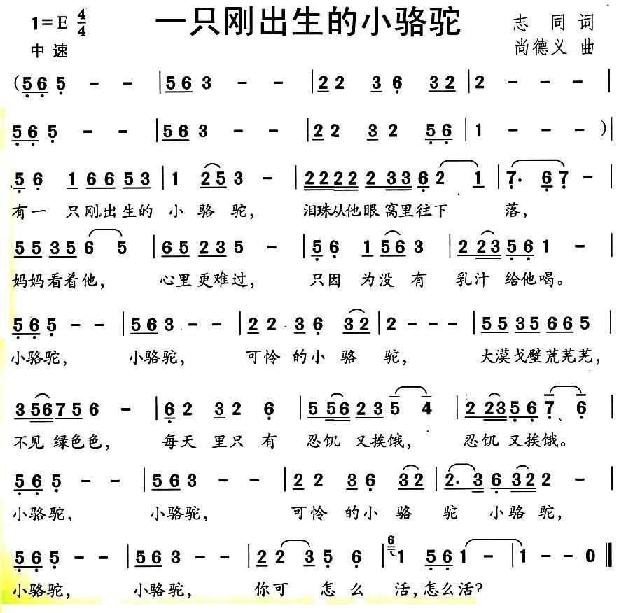 儿歌：一只刚出生的小骆驼（尚德义曲 志同词）
