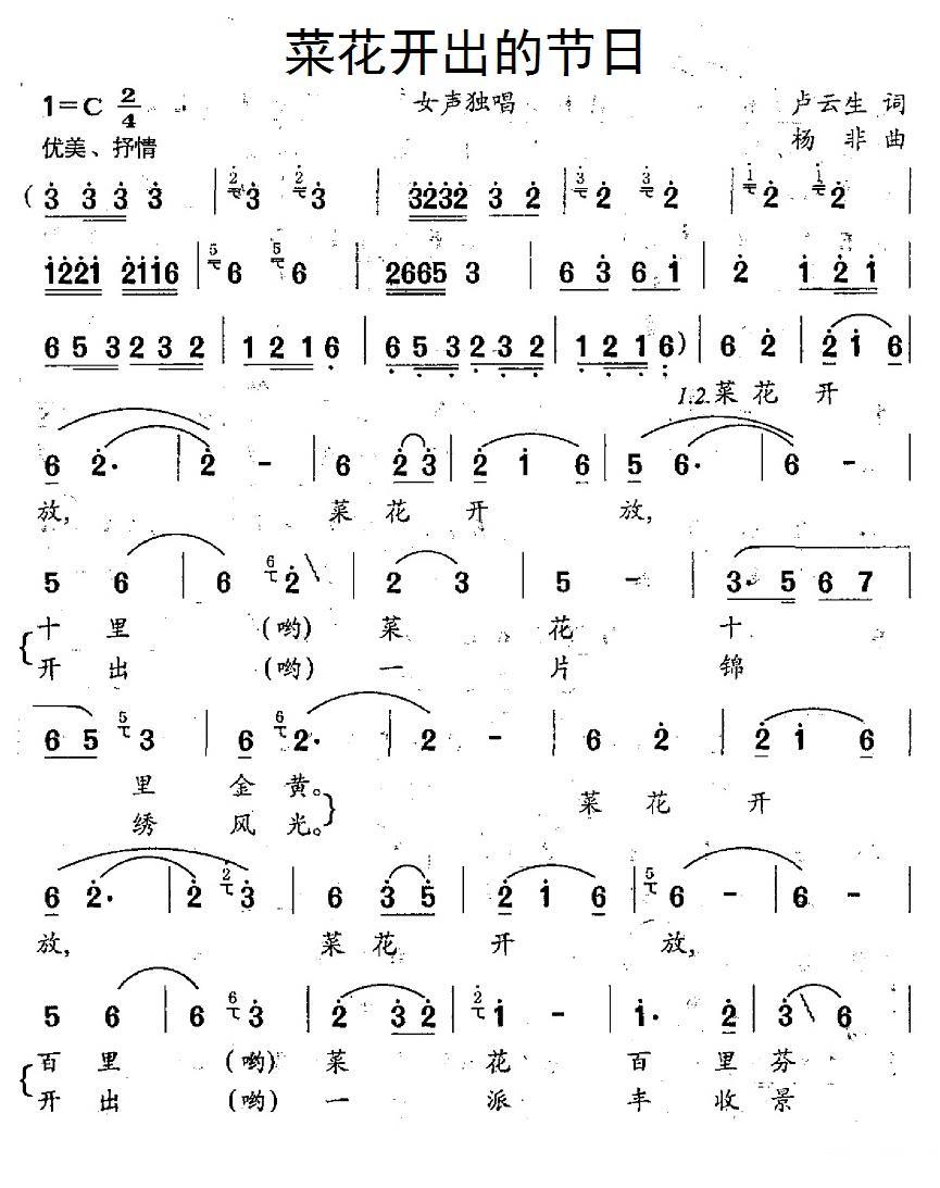 民歌：菜花开出的节日（杨非曲 卢云生词）